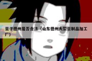豆子德州是否合法（山东德州大型豆制品加工厂）