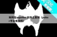 如何在aapoker软件上赢钱（poker平台有挂吗）