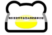 微扑克软件平台怎么样的简单介绍