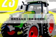 德州怎么玩法（德州 游戏规则）
