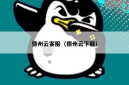 德州云客服（德州云下载）