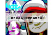 微扑克最新下载站的简单介绍