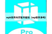 wpk软件大厅能不能玩（wp软件多吗）