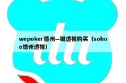 wepoker德州—键透视购买（sohoo德州透视）