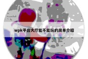 wpk平台大厅能不能玩的简单介绍