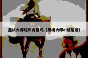 黑桃大师培训有用吗（黑桃大师ai破解版）