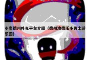 小奥德州扑克平台介绍（德州澳德乐小勇士游乐园）