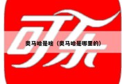 奥马哈是啥（奥马哈是哪里的）