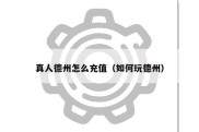 真人德州怎么充值（如何玩德州）