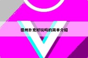 德州扑克好玩吗的简单介绍