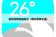 德州发牌教程新手（德州发牌术语）