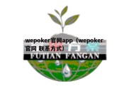 wepoker官网app（wepoker官网 联系方式）