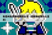 有德州免费锦标赛的台子（德州锦标赛什么意思）