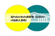 玩PokerNuts的好处（pokerist玩的人多吗）