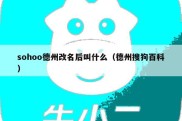 sohoo德州改名后叫什么（德州搜狗百科）
