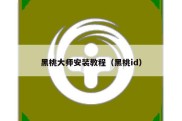 黑桃大师安装教程（黑桃id）
