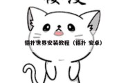 德扑世界安装教程（德扑 安卓）