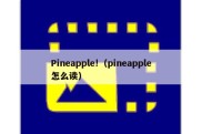 Pineapple!（pineapple怎么读）