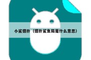小鲨德扑（德扑鲨鱼局是什么意思）