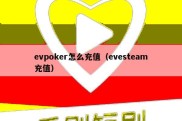 evpoker怎么充值（evesteam充值）