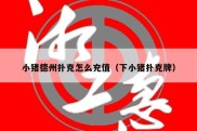小猪德州扑克怎么充值（下小猪扑克牌）