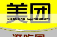 wpk有挂吗作弊（wpk作弊辅助软件）