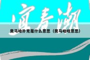 奥马哈扑克是什么意思（奥马哈啥意思）