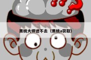 黑桃大师进不去（黑桃a获取）