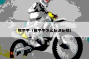 推牛牛（推牛牛怎么玩法配牌）