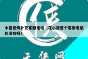 小猪德州扑克客服电话（花小猪连个客服电话都没有吗）