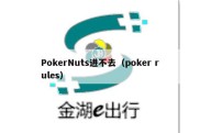 PokerNuts进不去（poker rules）