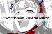 什么软件可以玩德州（什么游戏里能玩德州）