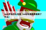 wpk平台怎么充值（wap充值缴费是做了什么）