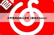 大亨德州玩的人多吗（德州大house）
