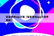 智星德州app下载（智星德州app下载苹果版）
