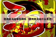 德州奥马哈有花牌吗（德州奥马哈什么意思）