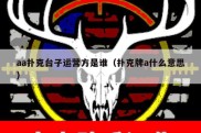 aa扑克台子运营方是谁（扑克牌a什么意思）