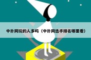 中扑网玩的人多吗（中扑网选手排名哪里看）