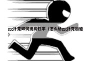 gg扑克如何提高胜率（怎么给gg扑克加速）
