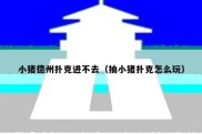 小猪德州扑克进不去（抽小猪扑克怎么玩）