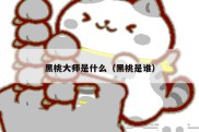黑桃大师是什么（黑桃是谁）