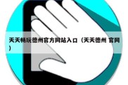 天天畅玩德州官方网站入口（天天德州 官网）