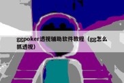 ggpoker透视辅助软件教程（gg怎么抓透视）