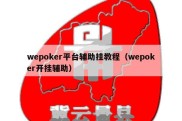 wepoker平台辅助挂教程（wepoker开挂辅助）