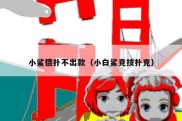小鲨德扑不出款（小白鲨竞技扑克）