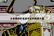 小米德州扑克进不去的简单介绍