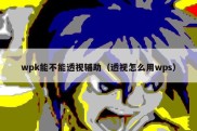 wpk能不能透视辅助（透视怎么用wps）