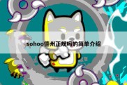 sohoo德州正规吗的简单介绍