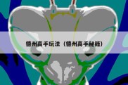 德州高手玩法（德州高手秘籍）
