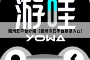 德州云平台介绍（德州市云平台登录入口）
